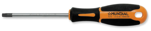 GIRAVITE TORX C.FORO TX40x125